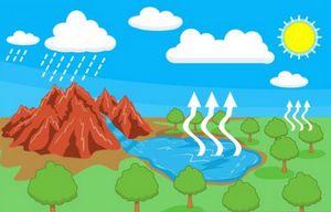 Водяна пара є найбільш сильним і важливим з парникових газів Землі